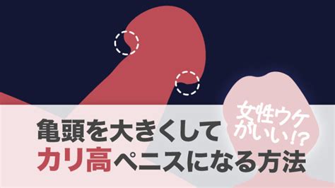 亀頭でかくする方法|カリ高ペニスになる方法は？カリ高の基準や亀頭を大。